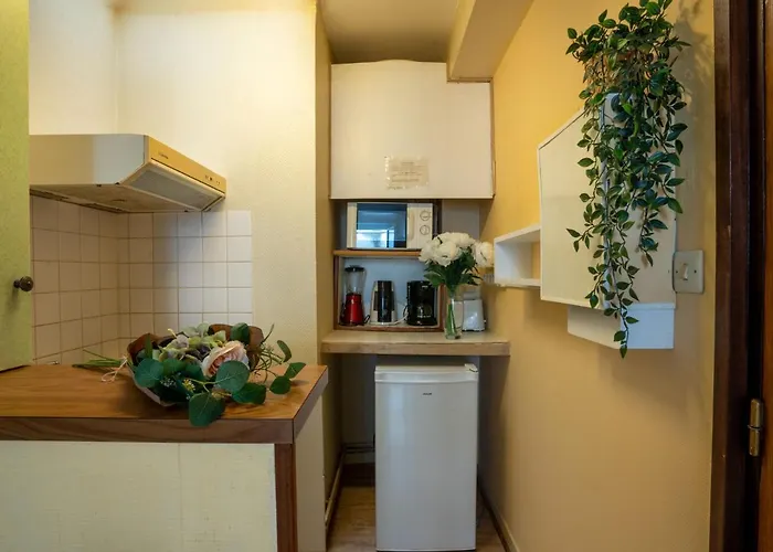 Studio Des Halles By Interhome Apartmán